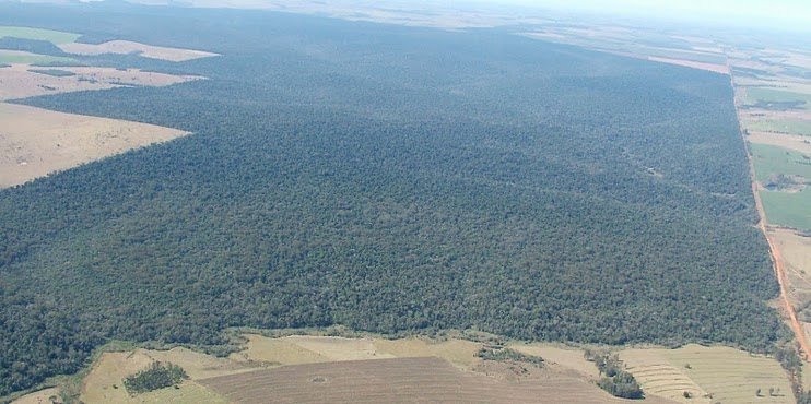 Reserve in brazil