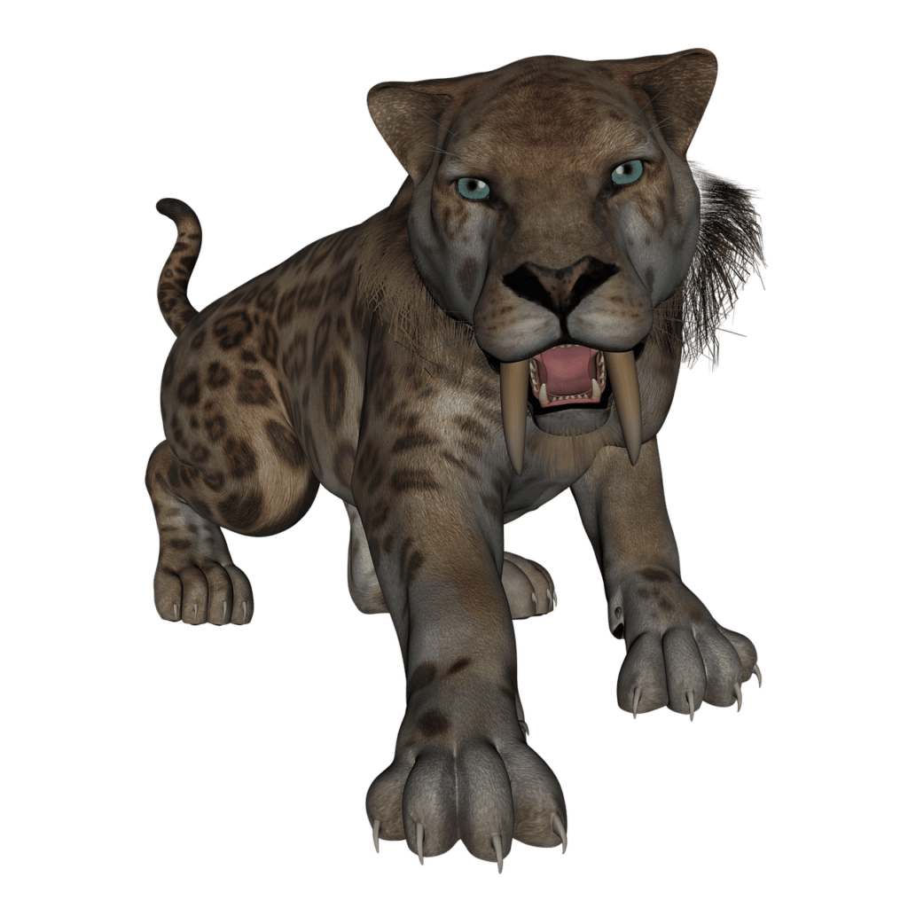 Saber toothed tiger