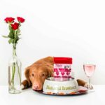 A dog lying with all of their Valentine's Day gifts including a pet friendly snack bag.