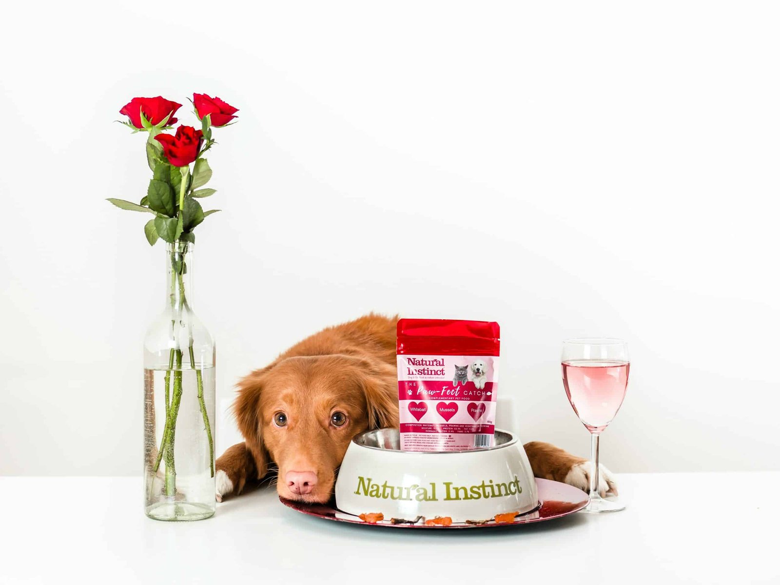 A dog lying with all of their Valentine's Day gifts including a pet friendly snack bag.