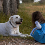 Little girl and Labrador