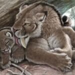 saber-tooth mom grooms her cub