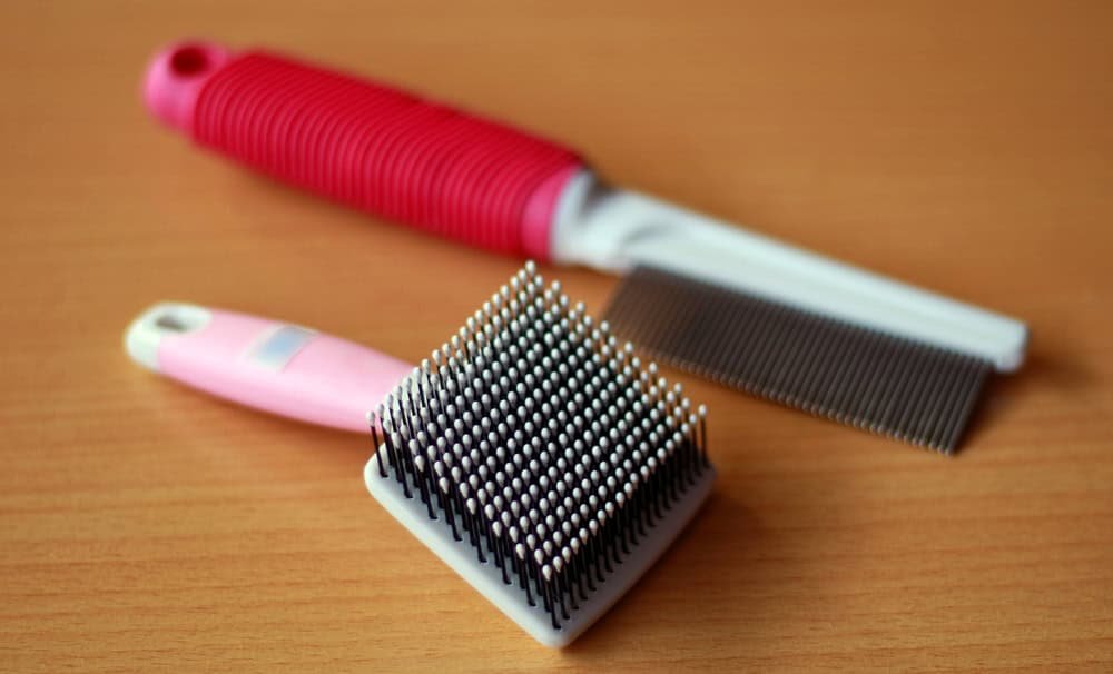 Comb and flea comb for cat
