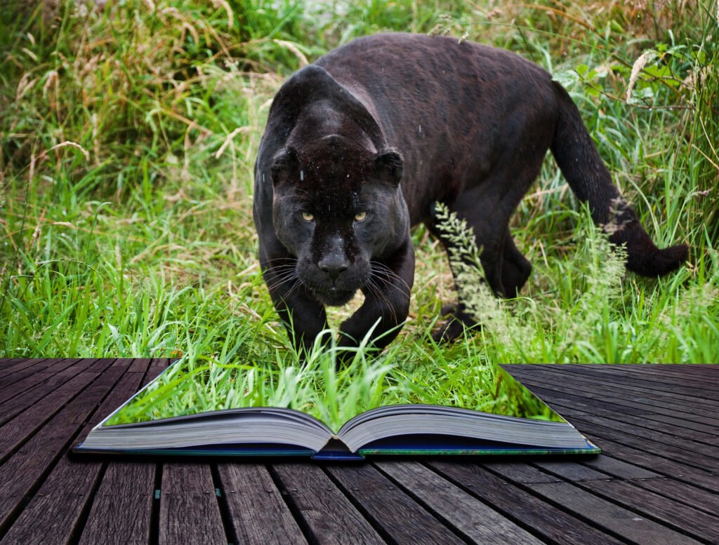 black jaguar in book