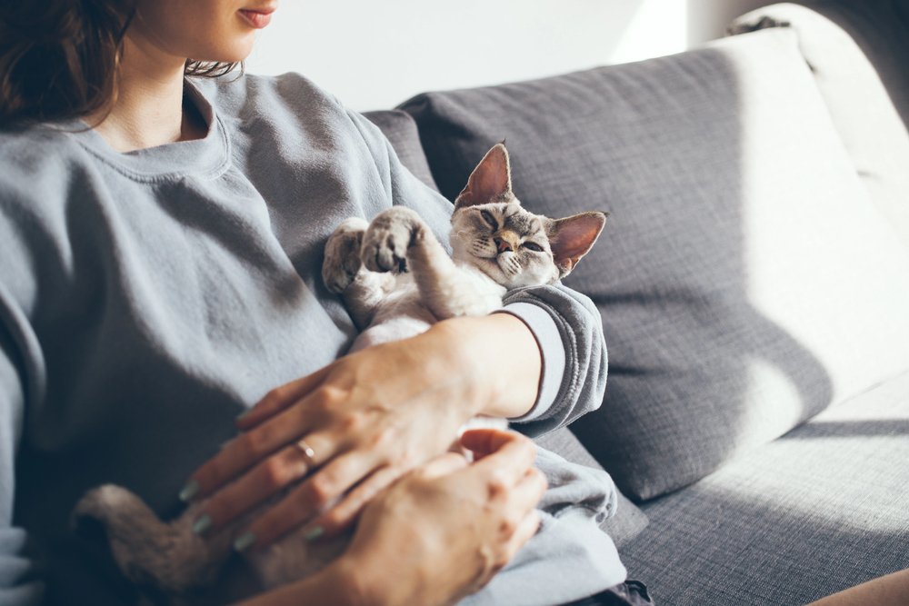 Woman is holding and hugging cute Devon Rex cat