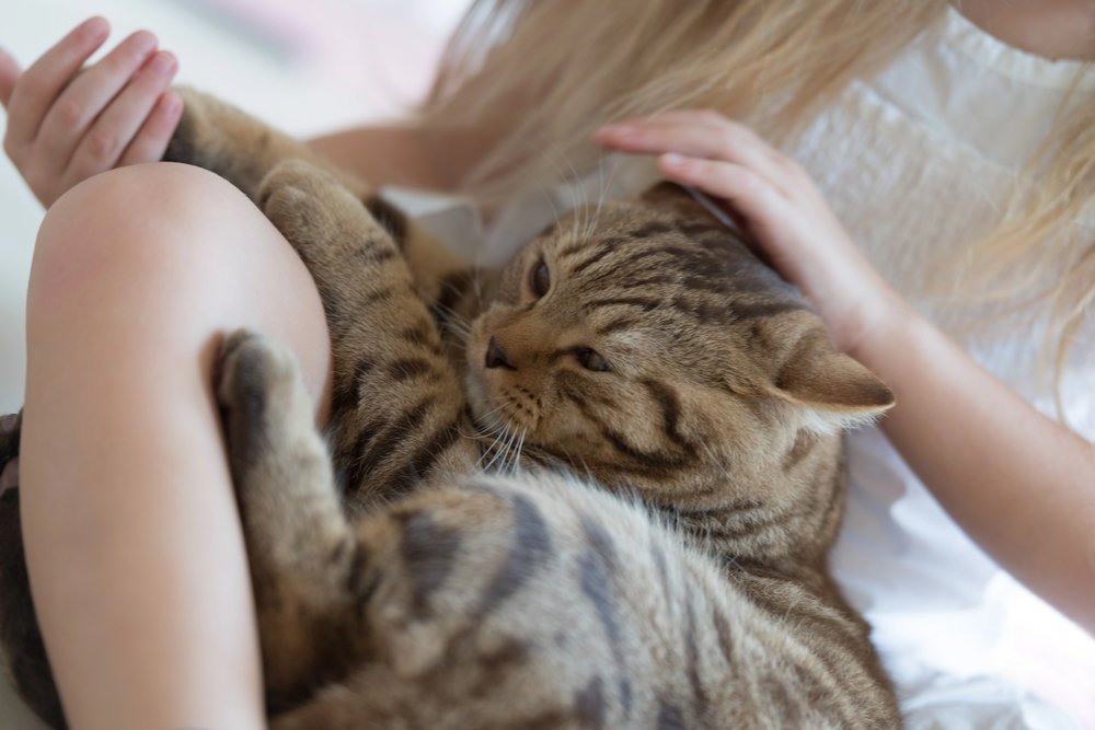 Child playing with cat