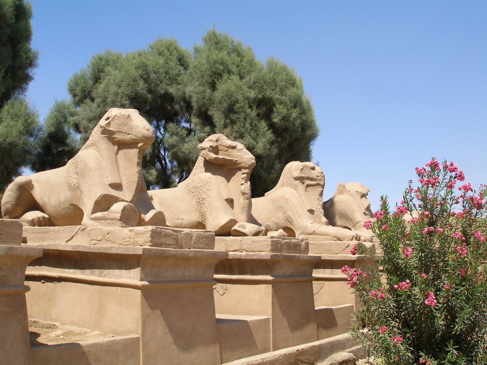 Avenue of the ram-headed sphinxes in the Karnak temple