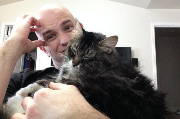 Girlfriend Insists Man Gets Rid Of Cat