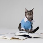 Tabby Cat with Books