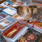 Cat With Books