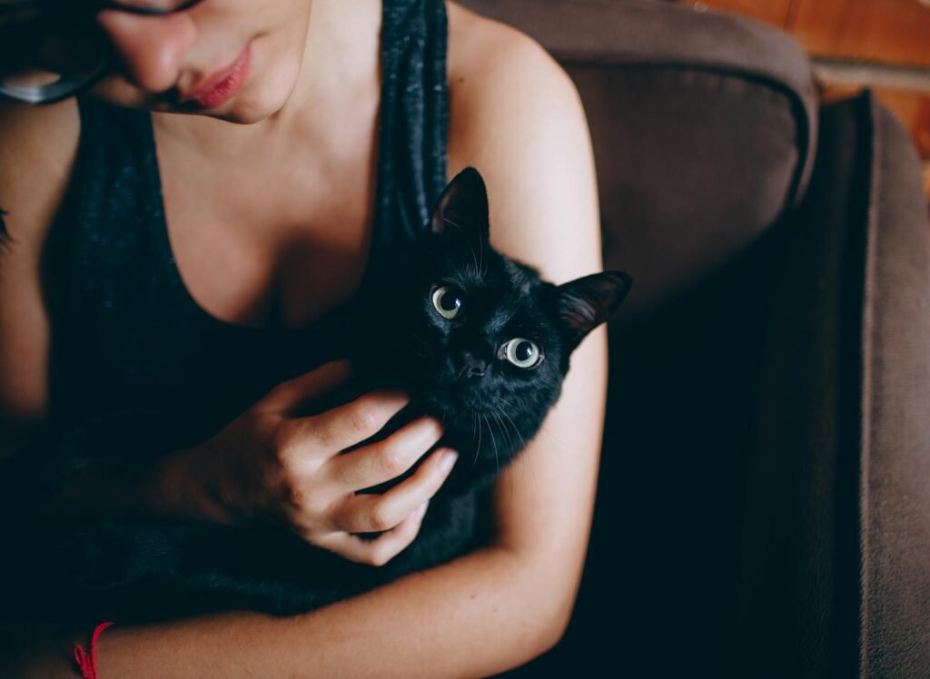 Black cat: A young woman lovingly cuddles a black cat indoors, showcasing their bond.