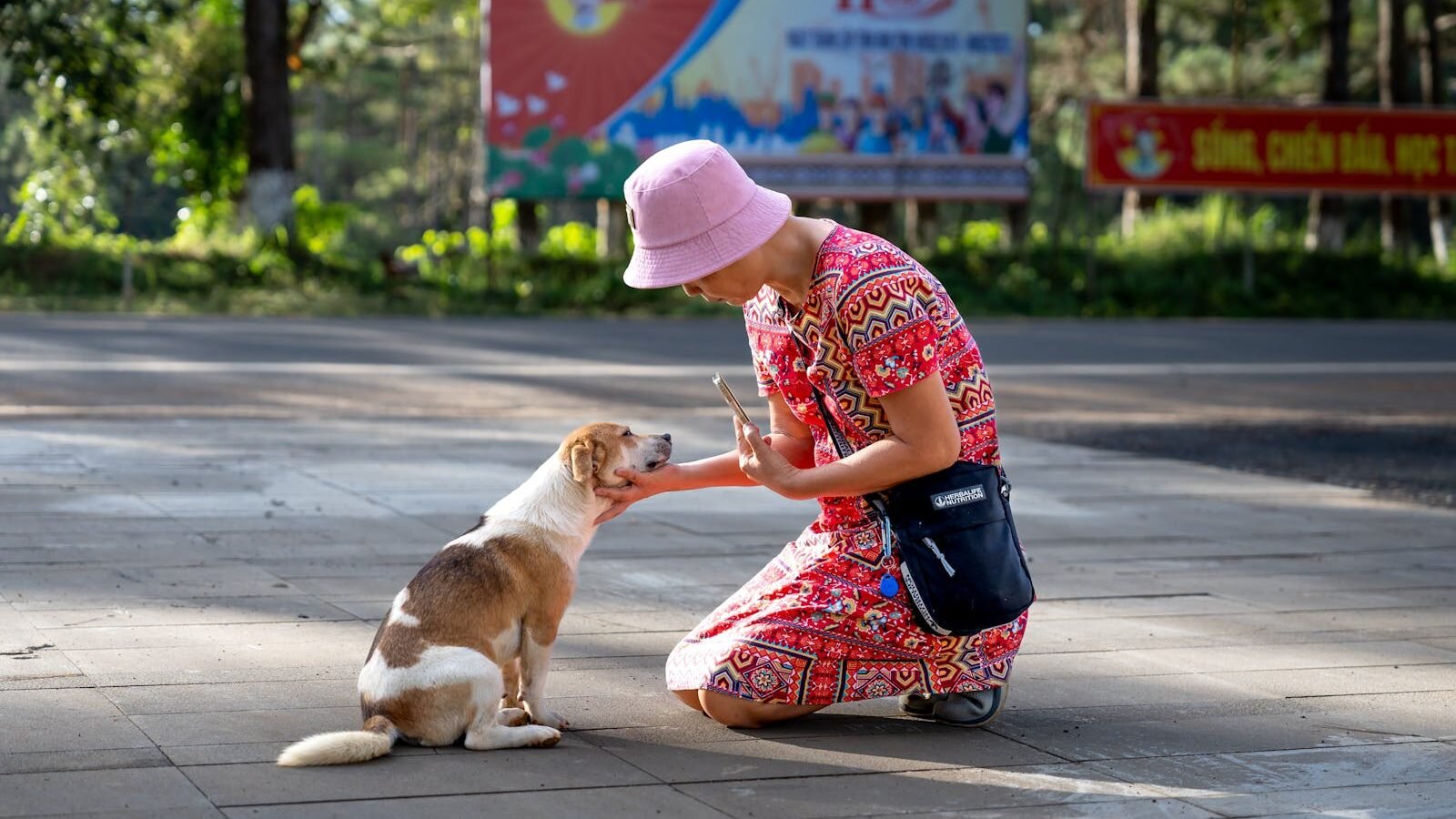 A woman wearing a colorful dress and pink hat kneeling to interact with a small brown-and-white dog on a paved area. The woman extends her hand, engaging the dog in a gentle and friendly communication style.