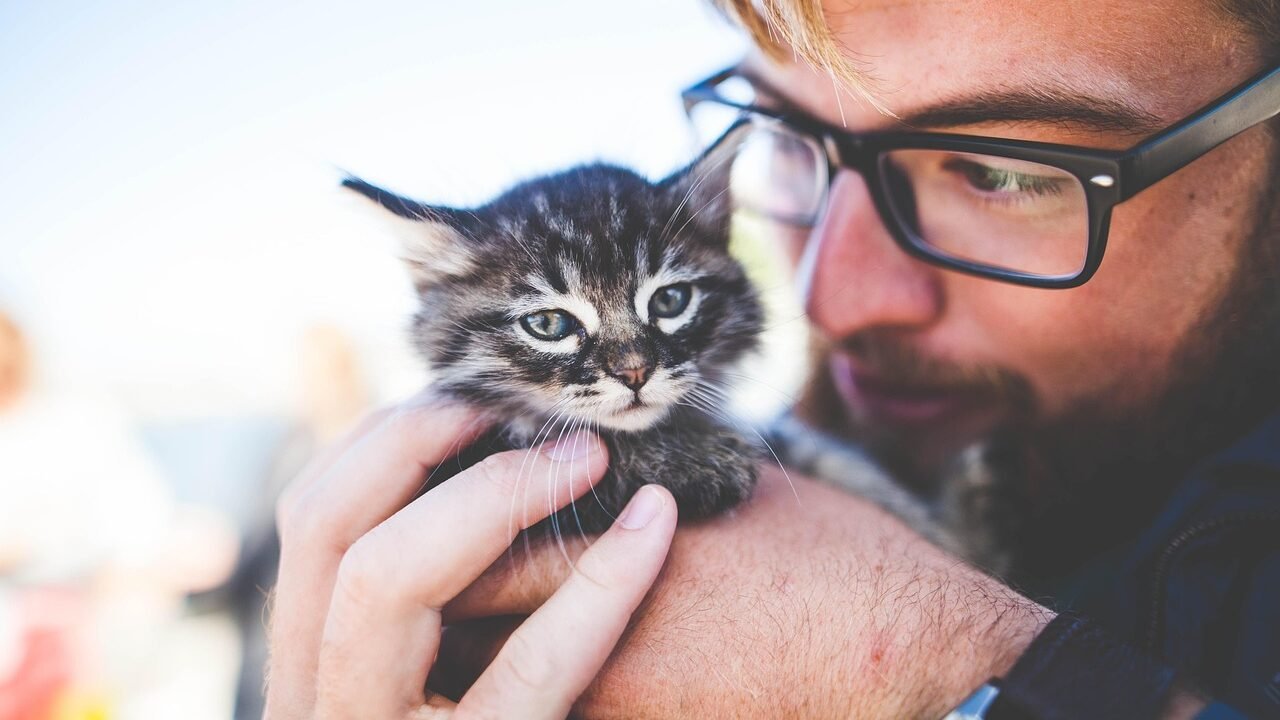 A man with glasses gently holding a small tabby kitten close to his face, both sharing an affectionate moment outdoors
