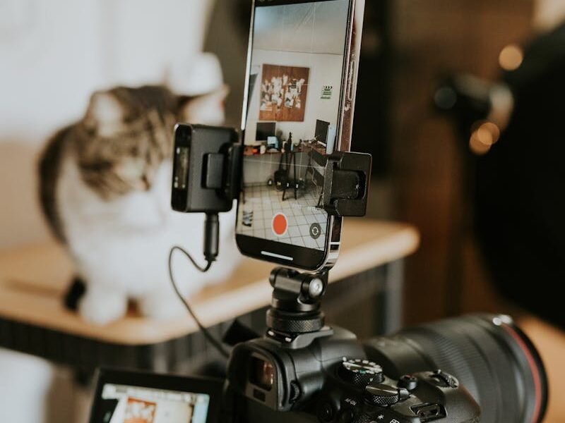  A professional camera setup recording a cat sitting on a table, with a smartphone screen displaying the live capture