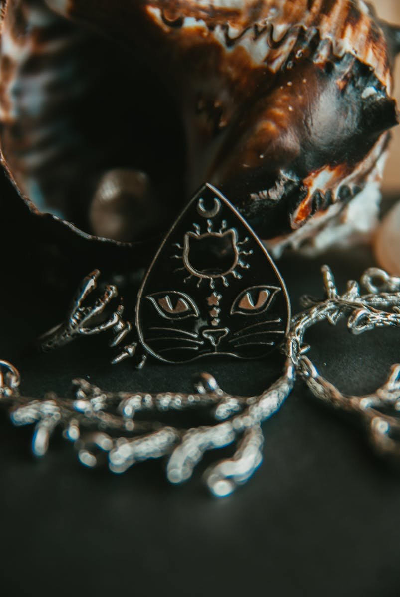 Photo by Dagmara Dombrovska via Pexels Close-up of a black cat-themed pendant with silver details and seashell background.