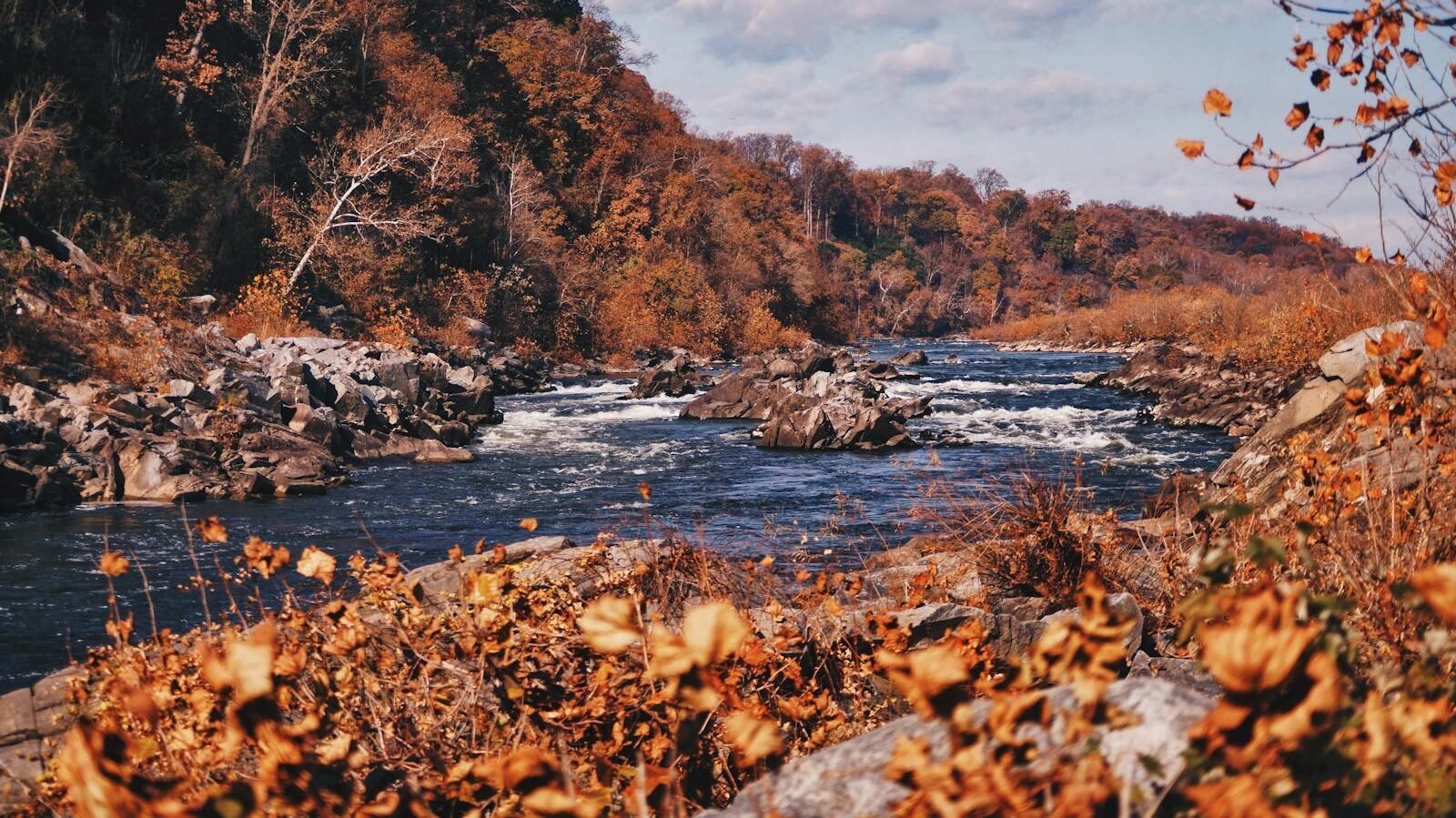 A picturesque river flowing through a forested landscape during autumn, surrounded by vibrant orange and brown foliage. The scene highlights the natural balance of ecosystems.