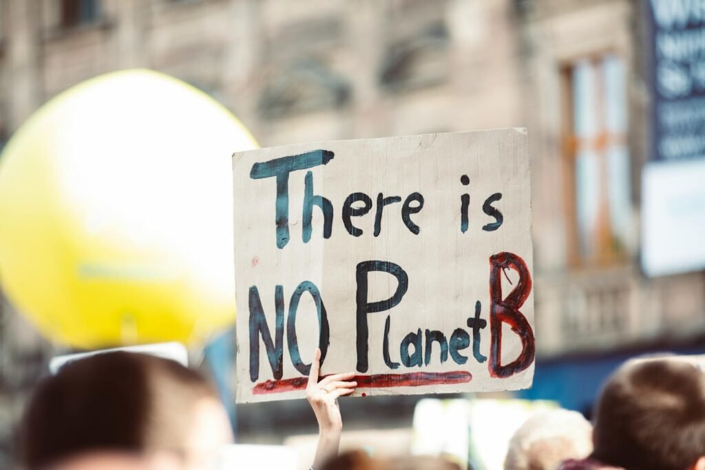 A protest sign held up in a crowd that reads, "There is NO Planet B," emphasizing the urgency of environmental conservation and climate action.