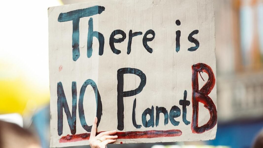 A protest sign held up in a crowd that reads, "There is NO Planet B," emphasizing the urgency of environmental conservation and climate action.