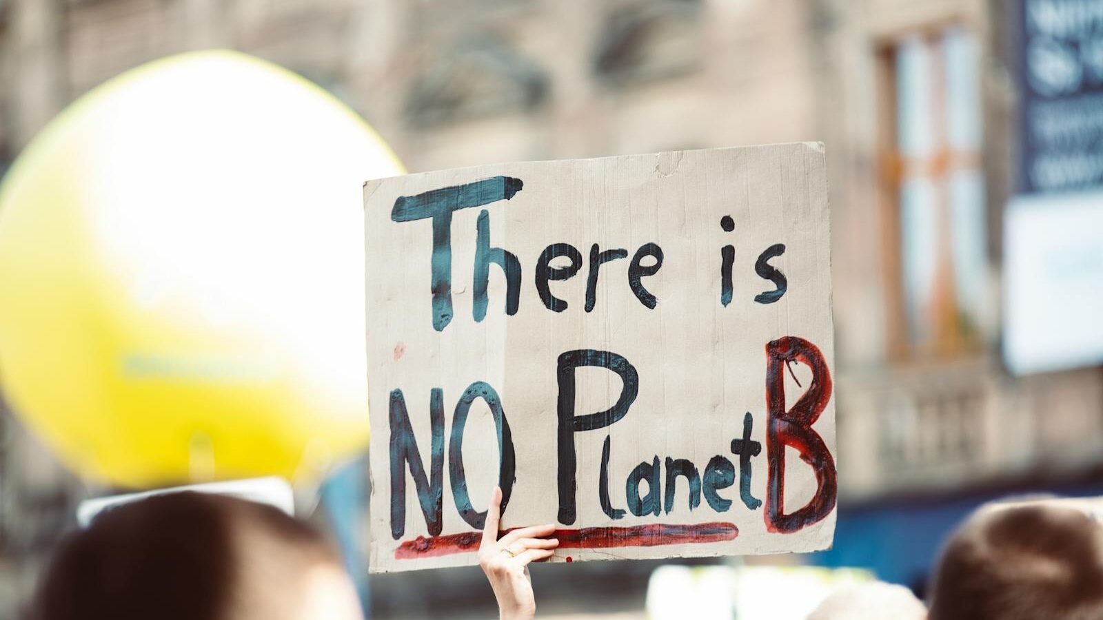 A protest sign reading "There is NO Planet B" held up in a crowd, emphasizing the urgency of environmental conservation.