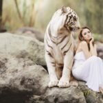 nature, wildlife, white bengal tiger, tiger, predator, big cat, wildcat, dangerous, danger, friendship, royal tiger, indian tiger, majestic, woman, beautiful, beauty, girl, young, friends, love, partner, protector, protection, tiger, tiger, tiger, tiger, tiger, girl, love
