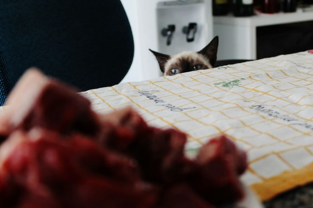cat diet: Siamese cat peeping near edge of table