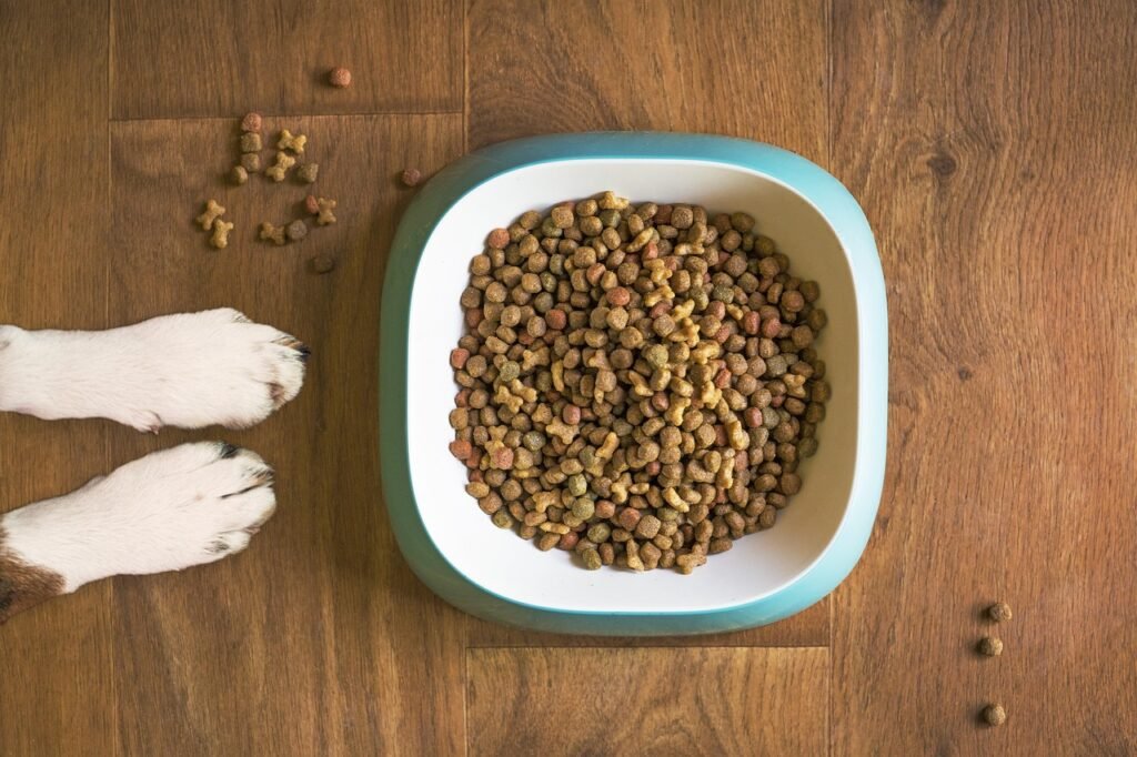 dog food, dog bowl, dog kibble, dry dog food, paws, dog paws, dog food bowl, grain free dog food, dog treat, pet food, dog, pet, dog eating, dog feeding, dog stay, dog training, animal, brown eating, dog food, dog food, dog food, dog food, dog food, pet food, dog eating