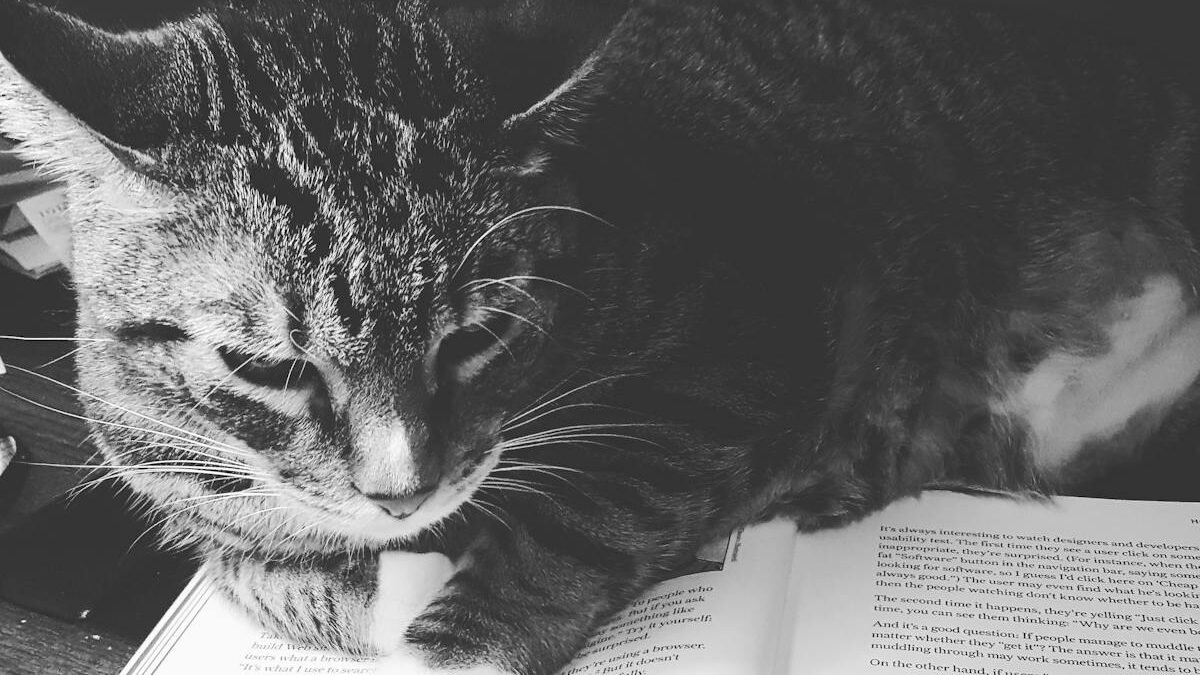 A black-and-white photo of a tabby cat resting on an open book, appearing thoughtful and relaxed. The pages of the book are visible, creating a cozy and intellectual scene.