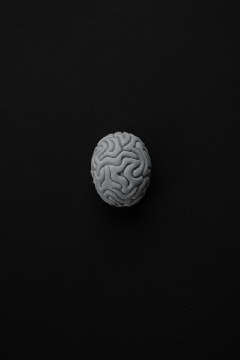 Photo by KATRIN BOLOVTSOVA via pexels Monochrome representation of a brain against a dark background, symbolizing mental health.