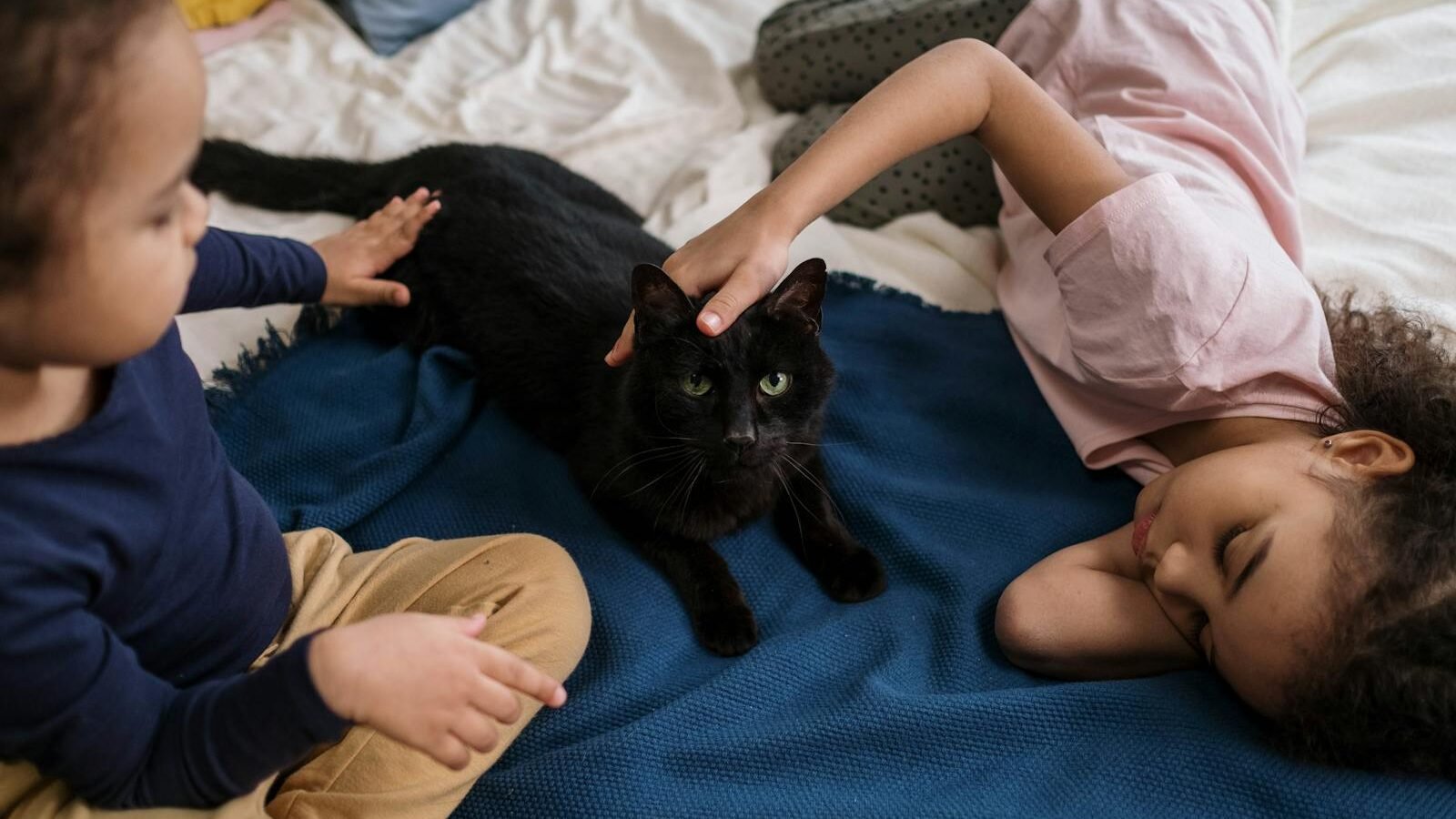 Two children interacting with a black cat on a bed covered with a blue blanket, one child gently petting the cat while the other observes with curiosity.