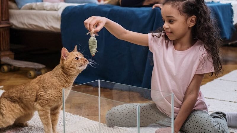 A young girl sitting on the floor, holding a toy mouse near an orange tabby cat. The cat curiously sniffs the toy, showcasing its keen sense of smell in a cozy indoor setting.