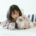 woman lying beside two kittens