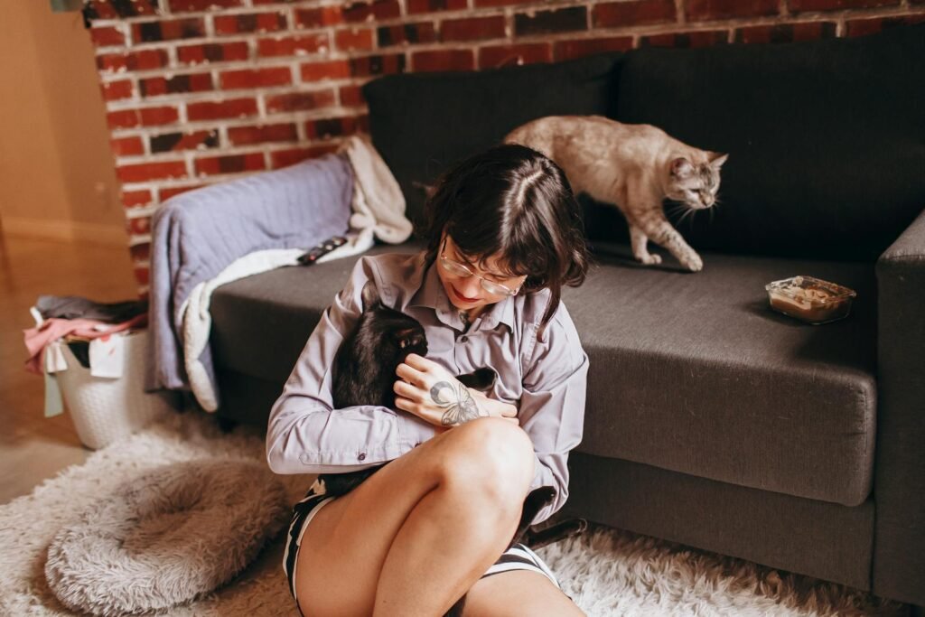 cats and humans: A serene scene of a woman with cats, enjoying a cozy indoor moment on a sofa.
