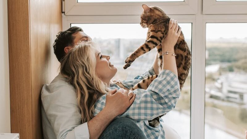 A couple sitting by a window, smiling and playing with a Bengal cat, with the cityscape visible in the background.