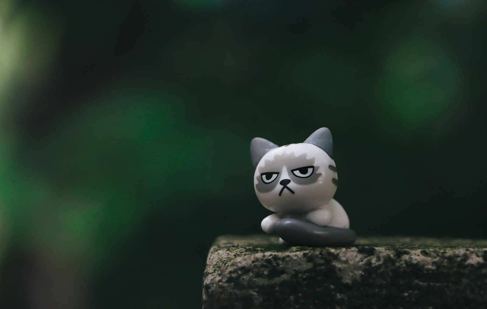 Photo by Niranjan _ Photographs Cat toys: white cat figurine on brown rock