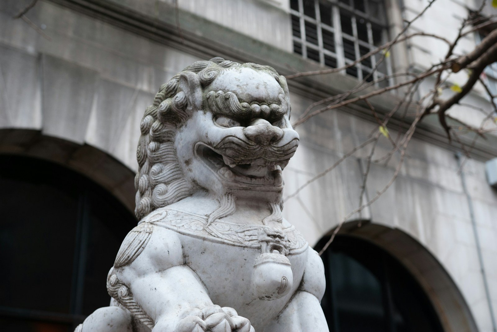 Photo by Alex Preusser Ancient stories: a statue of a lion in front of a building