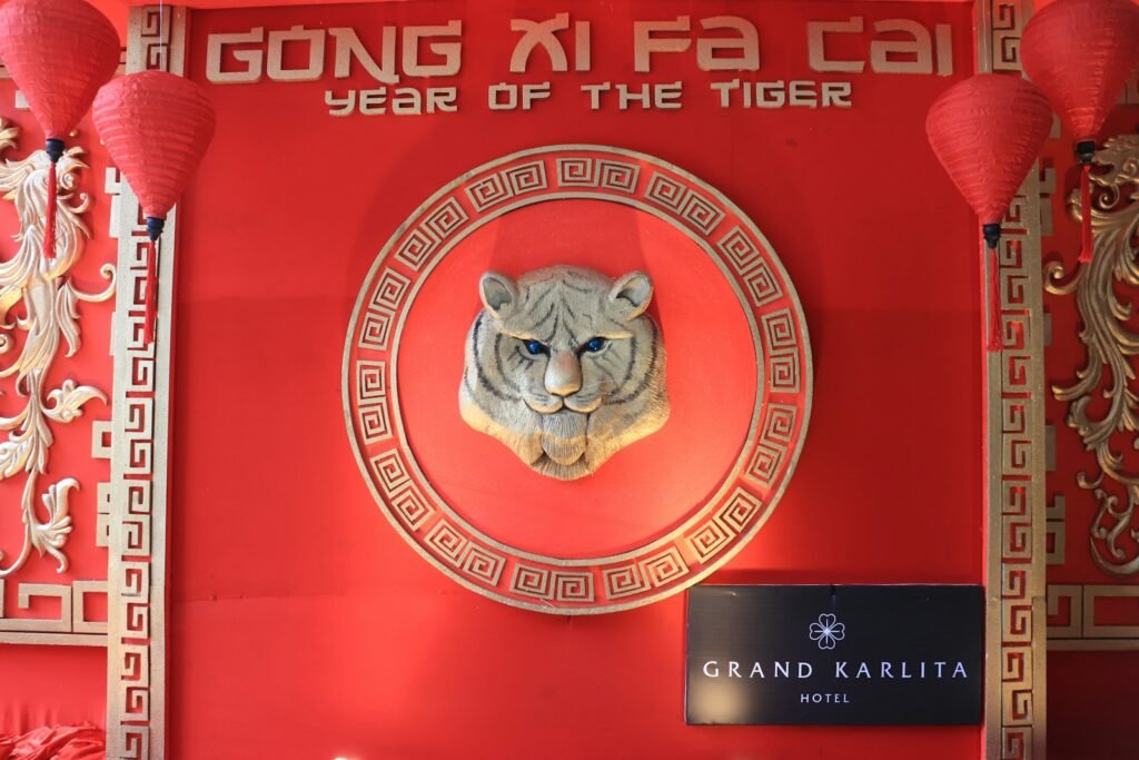 a picture of a tiger on a red wall
