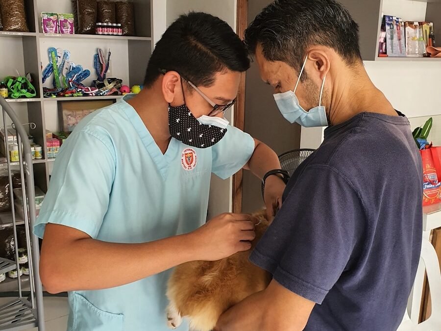 A veterinarian in a light blue uniform and a masked assistant carefully treating an animal while holding it securely in a clinical setting