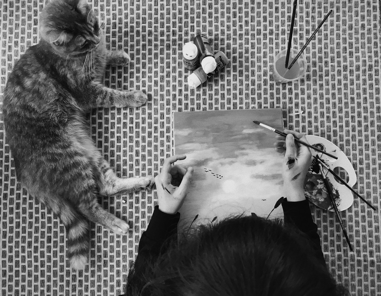 Photo by Burcu person holding black and white cat