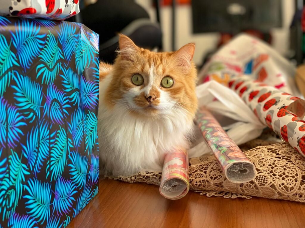 Adorable ginger cat surrounded by vibrant gift wrappings at home, creating a festive scene.