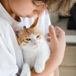 A child gently cuddling a calm white and ginger cat indoors, showcasing a tender moment.
