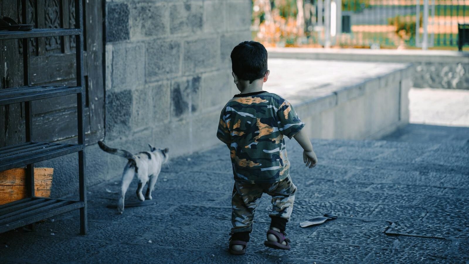 A young child dressed in camouflage clothing walking on a stone pathway, with a small cat following closely behind near an old brick wall.
