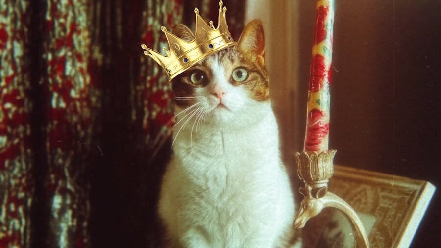 A regal-looking cat wearing a golden crown, seated beside an ornate candle, evoking imagery of Western royalty and aristocracy in a luxurious setting.