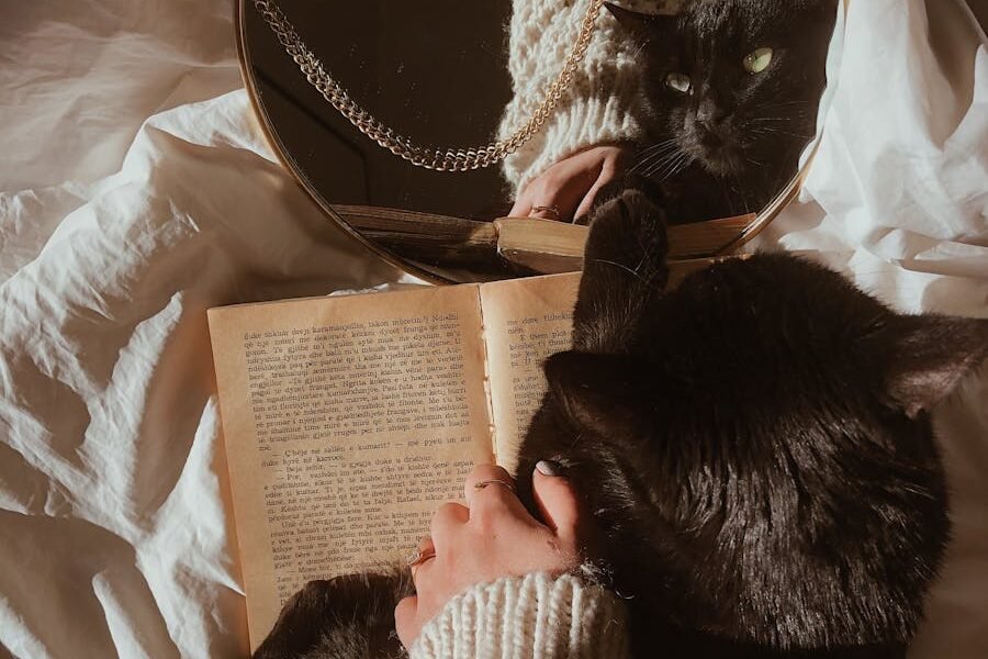 Experience the tranquility of cozy reading with a cat and mirror reflection.