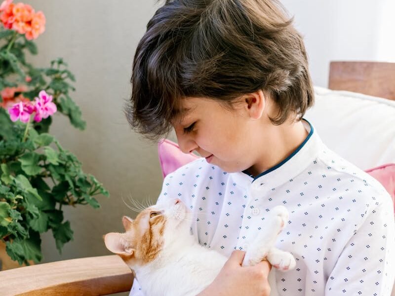 A young boy lovingly holds a cat indoors, showcasing affection and companionship.