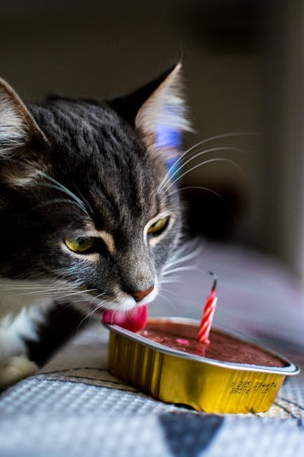 10 Common Mistakes Cat Owners Make When It Comes to Nutrition