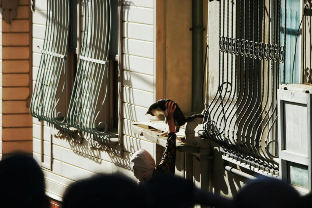 A woman reaches up to lift a cat from an urban windowsill in sunlight.
