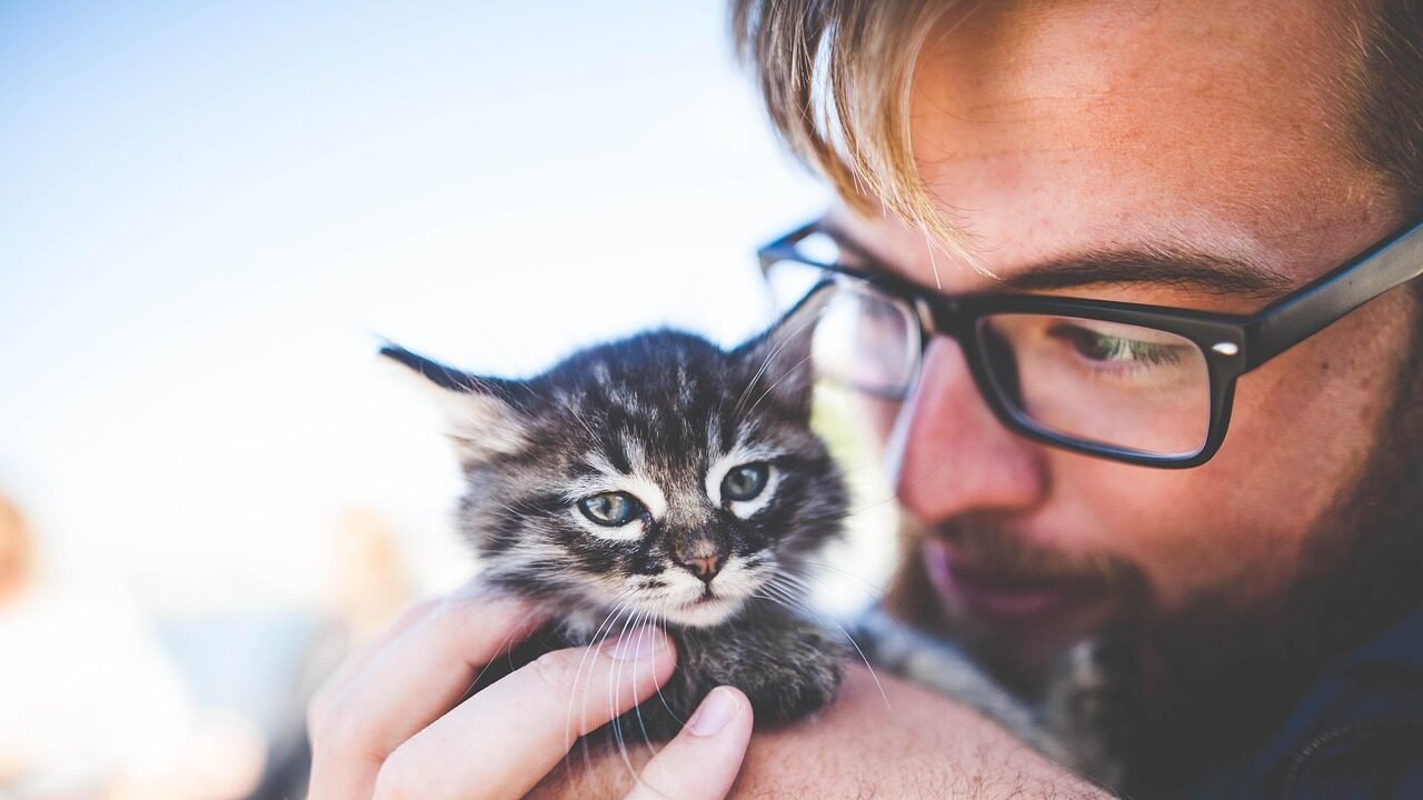 A person holding a small kitten close to their face with a gentle expression looking fondly at the kitten.