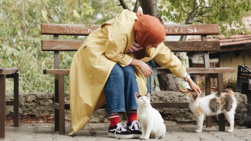 A woman in a yellow coat sitting on a bench in a serene park, gently petting two cats, symbolizing the cultural and historical connection between cats and the Islamic world.