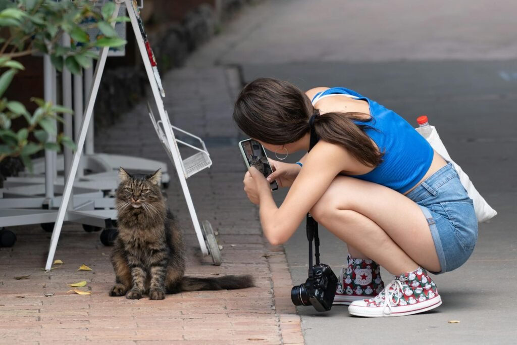 A woman photographs a fluffy tabby cat on a street in Capri, Italy.