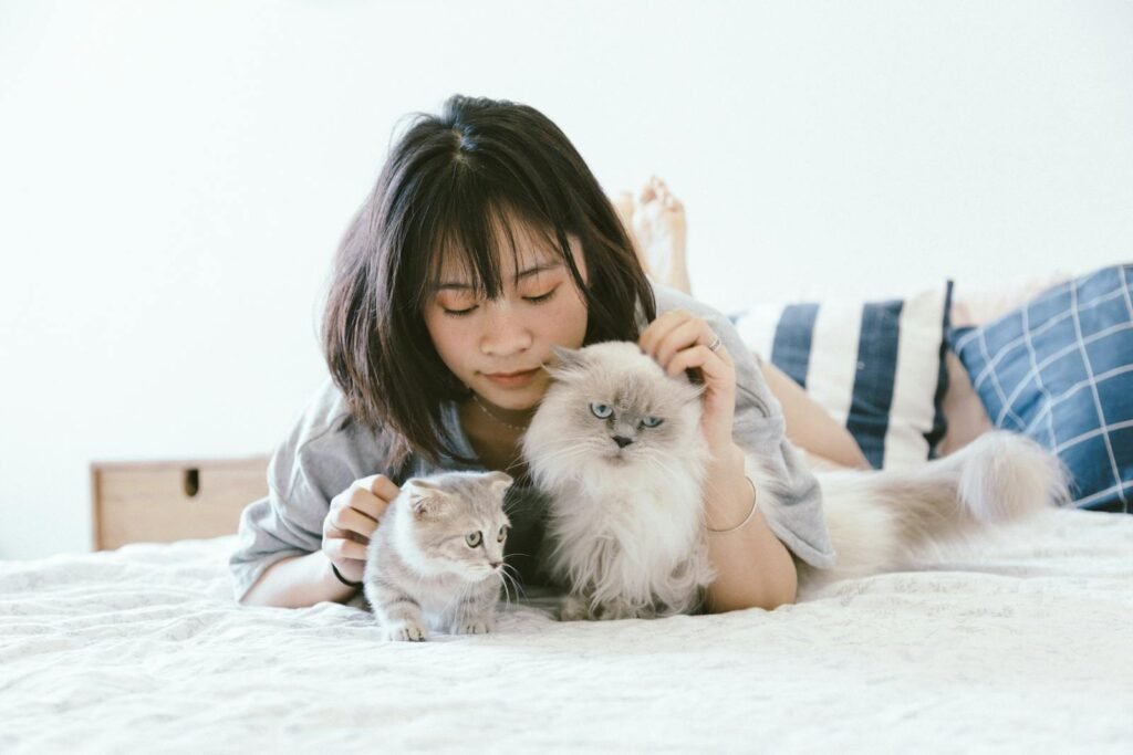 cat bond: Young Asian woman relaxing on a bed with two fluffy cats in a cozy bedroom.